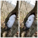 사니조아 | 지리산 서북능선 종주 ( 노고단대피소1박)