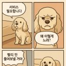 정창수외과동물병원 이미지