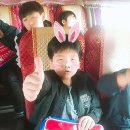 백호타이거즈태권도 이미지