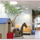 미즈소아청소년과의원 이미지