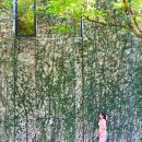 리버프론트123 | 태국 치앙마이 호텔 아난타라 리조트 객실 수영장 조식 숙소 추천