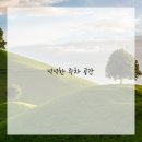 타이어프로 이미지