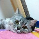 베리커뮤니케이션 이미지