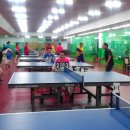 힐링탁구 이미지