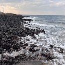 평대 모살코지 | [제주/구좌] 개인적으로는 그저 그랬던 제주 여성 게스트하우스(평대모살코지)