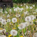 이천고등학교 이미지