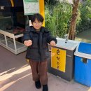 창녕동애등에 | [경남 창녕] 곤충박물관 창녕생태곤충원 아이와 실내가볼만한곳 바퀴벌레체험 (구.우포잠자리나라)