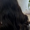 댕댕이아지트 | 내 머리가 마법처럼 변했어요! 영등포미용실 비밀 아지트 공개!