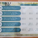 건강리셋지사