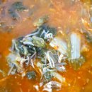 채미원 네이버블로그