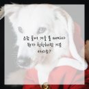 다시봄날 이미지