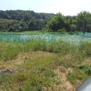 종석농장 이미지