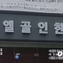엘골인 바이오 이미지