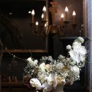 주식회사 코스베이직 이미지