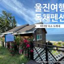 도레네 | 경북 울진 여행 바닷가 독채 펜션 단체 숙소 도레네 내돈내산 후기
