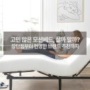 01.한내다리 A | 모션베드의 장점과 단점, 그리고 현명한 선택을 위한 브랜드 추천