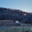 1269 | 오지산행후기(1269차) 연수목(감태나무) 나들이 2025.01.04(토)