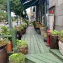 둔산중로-19 이미지