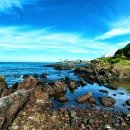 제주 올레길 15코스 B 이미지