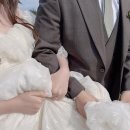 The쉼491 | 제주스냅 [두시의동화] 예약부터 촬영까지 상세후기 -1 (웨딩촬영,준비물,숙소까지 모두다 알려드려요) 🌈🍀