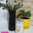 웰빙365다이어트 이미지