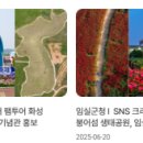 픽미디어솔루션
