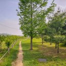 도래울바람물공원 이미지