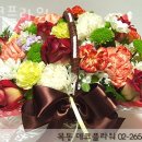 부영그린타운2차(기업은행, 홈플러스익스프레스) | 목동꽃집 데코플라워 가격 위치 영업시간