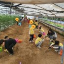 송정중앙초교병설유치원 이미지