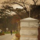 괘릉초등학교 이미지