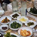 향우촌 | 울릉도 토박이 맛집 / 향우촌 / 약소구이 후기