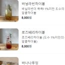 카페오르트(Cafe oort) 네이버블로그