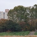 지에스25 무등산자이 이미지