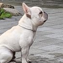 청솔조경 이미지