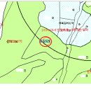 한방1공인중개사사무소 이미지