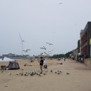 (주)신우정 | 대부도 방아머리 해수욕장 다녀왔어요.
