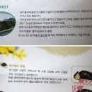 하람떡집