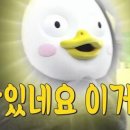 돌담너머바다 이미지