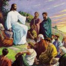 요나목장 이미지