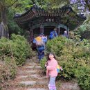 소의초교 이미지