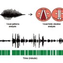 성대소프트 이미지