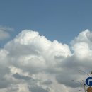 꽃마중 | 캠핑의 꽃은 가을, 가을 하늘은 높고,, @마중마을 힐링캠프