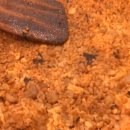 유가네집 이미지