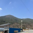 뒤뜰카페 | 강원도 정선 가볼만한 곳 한옥카페 뒤뜰 방문 솔직후기