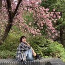 호텔구미 | 구미 겹벚꽃 명소 호텔금오산 후기