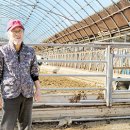 삼두목장 이미지