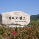 구미카랜드 - 구미시 박정희로 61 | 구미카랜드
