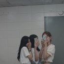 [호주워홀 D+45] 영어의 부족함이 온몸으로 느껴지는 최근 일상 (숀클리프 피어, 모튼섬 투어 후기)