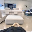 멍레스트 | [다옴소파 쇼룸] 헤드레스트+모듈 있는 편안하고 고급진 르망소파 체험기