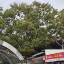 GS25구로미성점 이미지